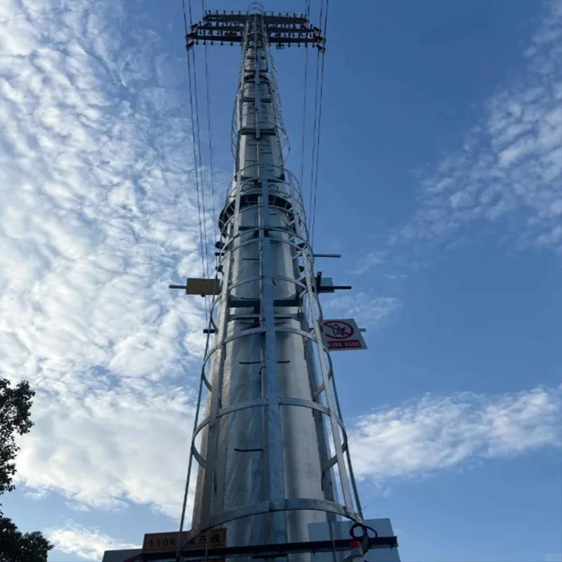 Tour de télécommunication en tuyaux d'acier galvanisés